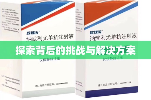 泉州探索背后的挑战与解决方案