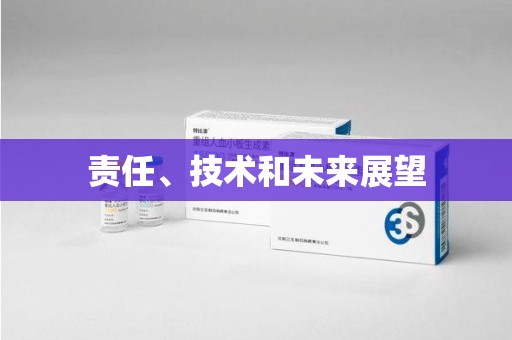 泉州责任、技术和未来展望