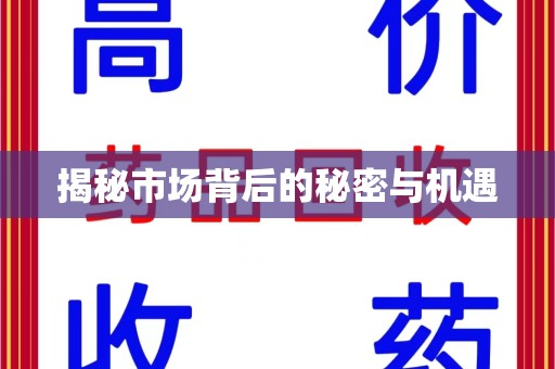 泉州揭秘市场背后的秘密与机遇