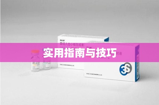 泉州实用指南与技巧
