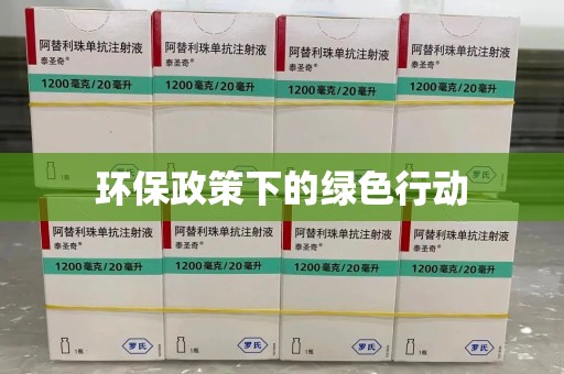 泉州环保政策下的绿色行动