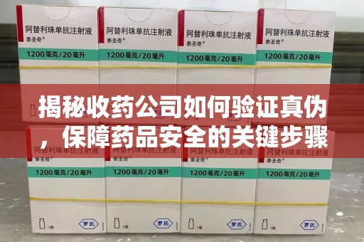 泉州揭秘收药公司如何验证真伪，保障药品安全的关键步骤