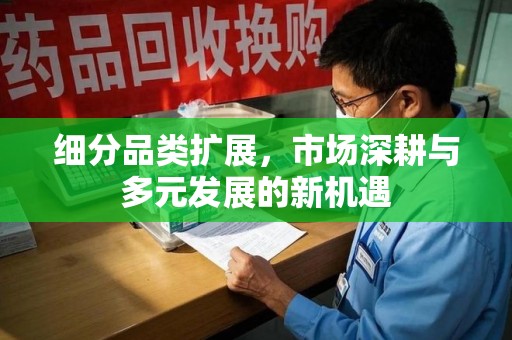 泉州细分品类扩展，市场深耕与多元发展的新机遇