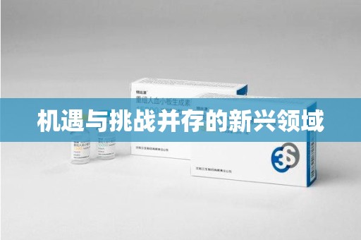 泉州机遇与挑战并存的新兴领域