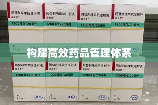 泉州构建高效药品管理体系
