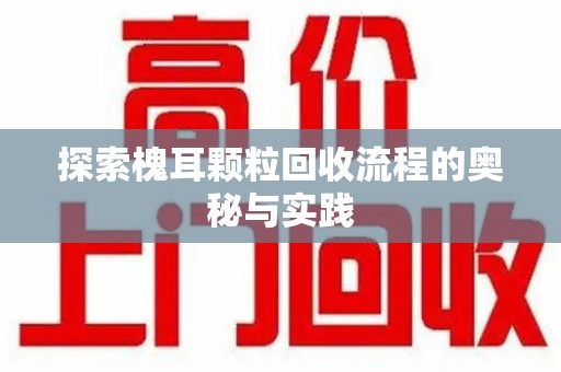 泉州探索槐耳颗粒回收流程的奥秘与实践