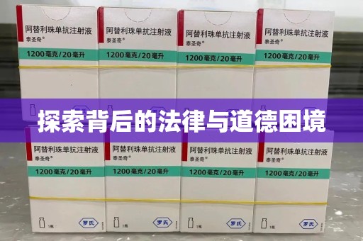 泉州探索背后的法律与道德困境